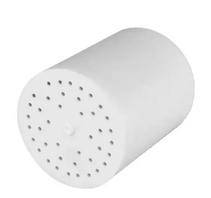 Wall-Mounted Shower Head